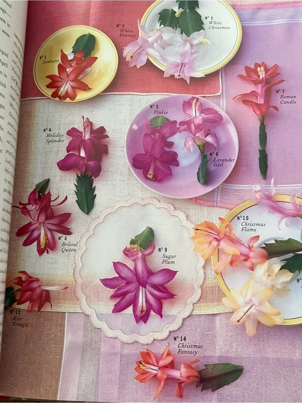 Christmas with Martha Stewart Classic Crafts & Recipes for the Holidays